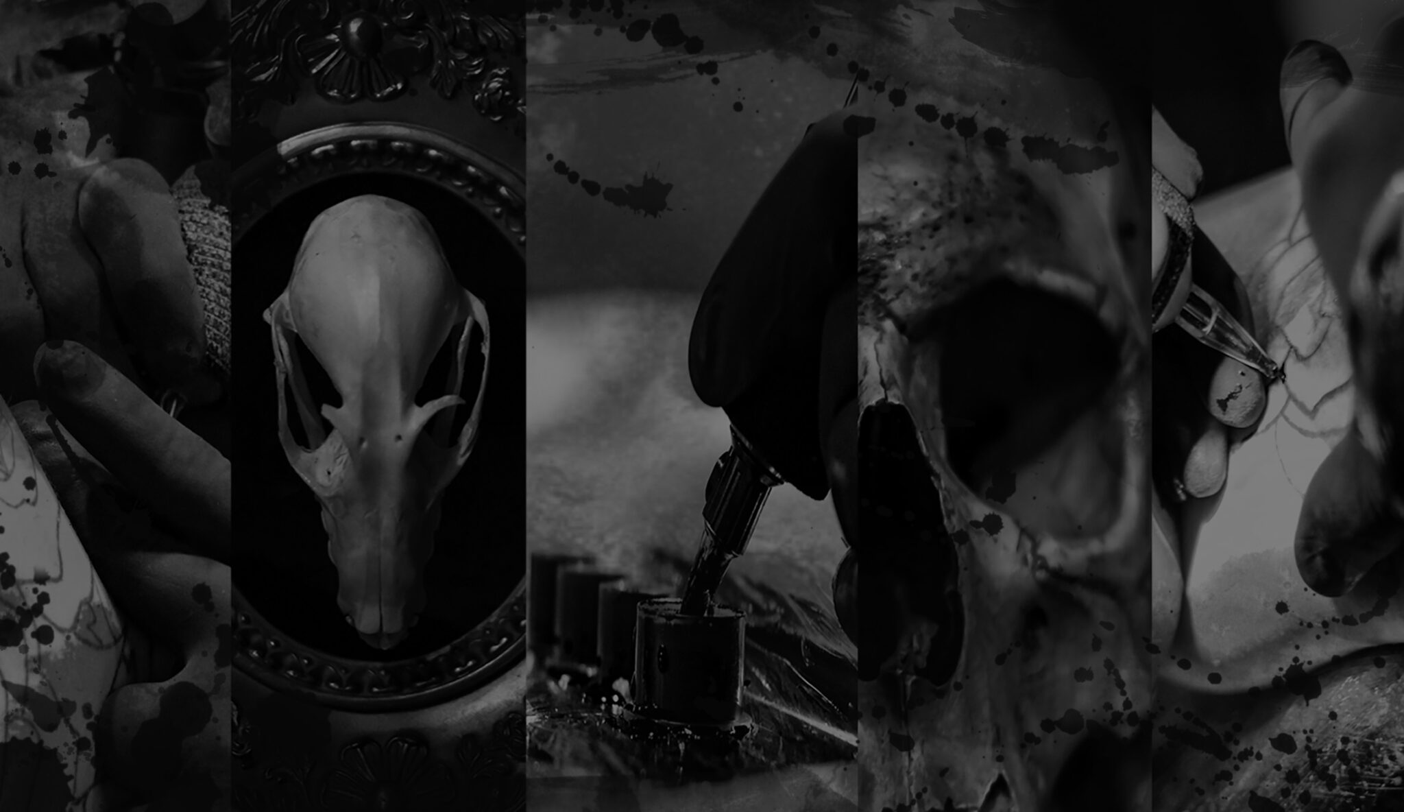 Home Faces in the Dark Tattoo Shop